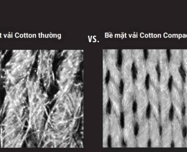 VẢI COTTON COMPACT HAI CHIỀU VÀ BỐN CHIỀU
